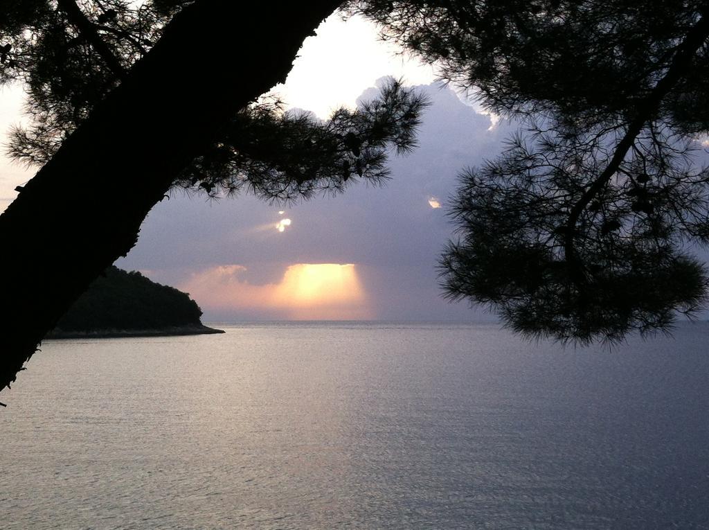 Guesthouse Galeb Vrsar Exterior photo